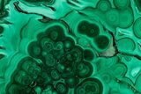 Flowery Polished Malachite Slab - DR Congo #350816-1